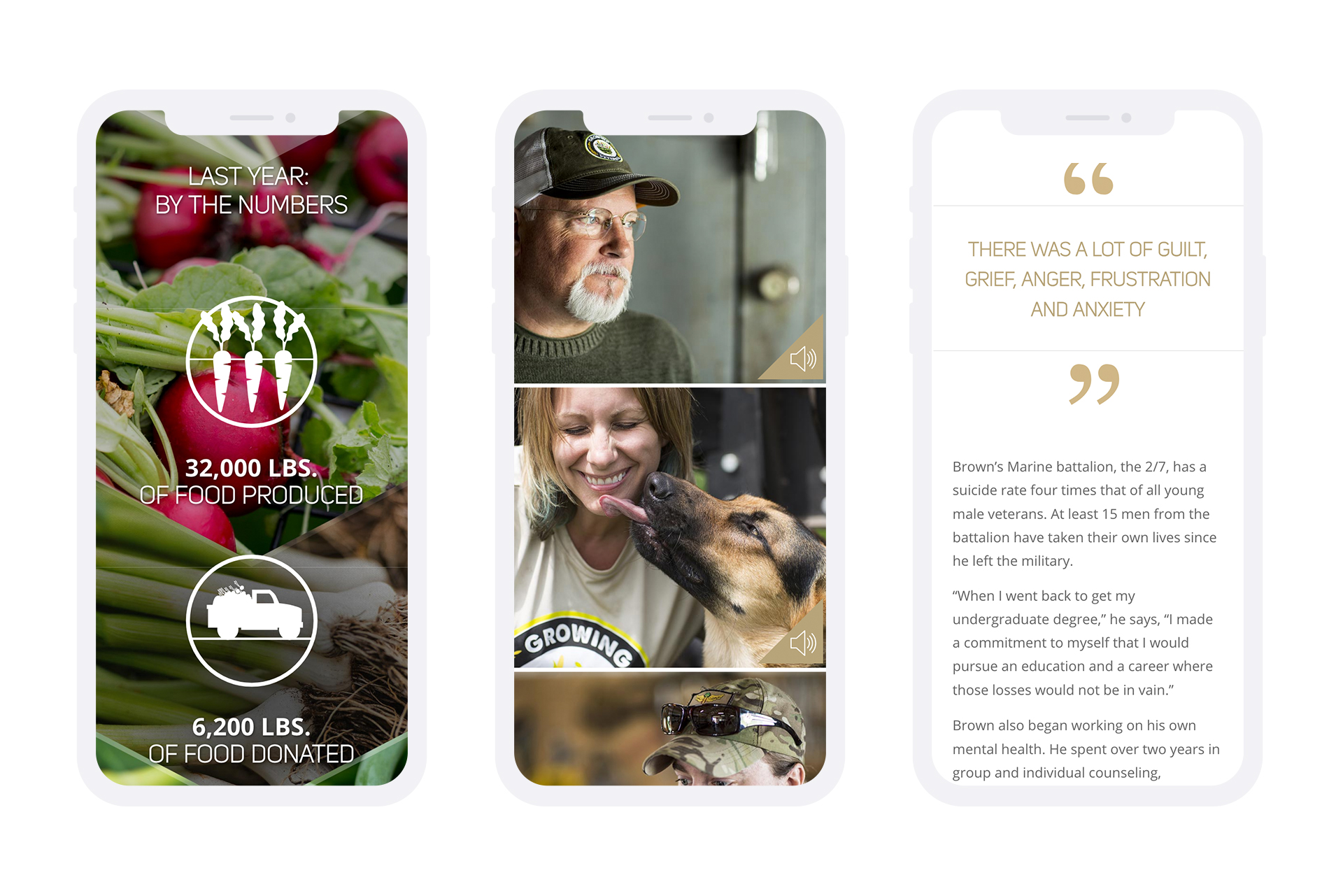 seeds of hope, growing veterans mobile website design page two