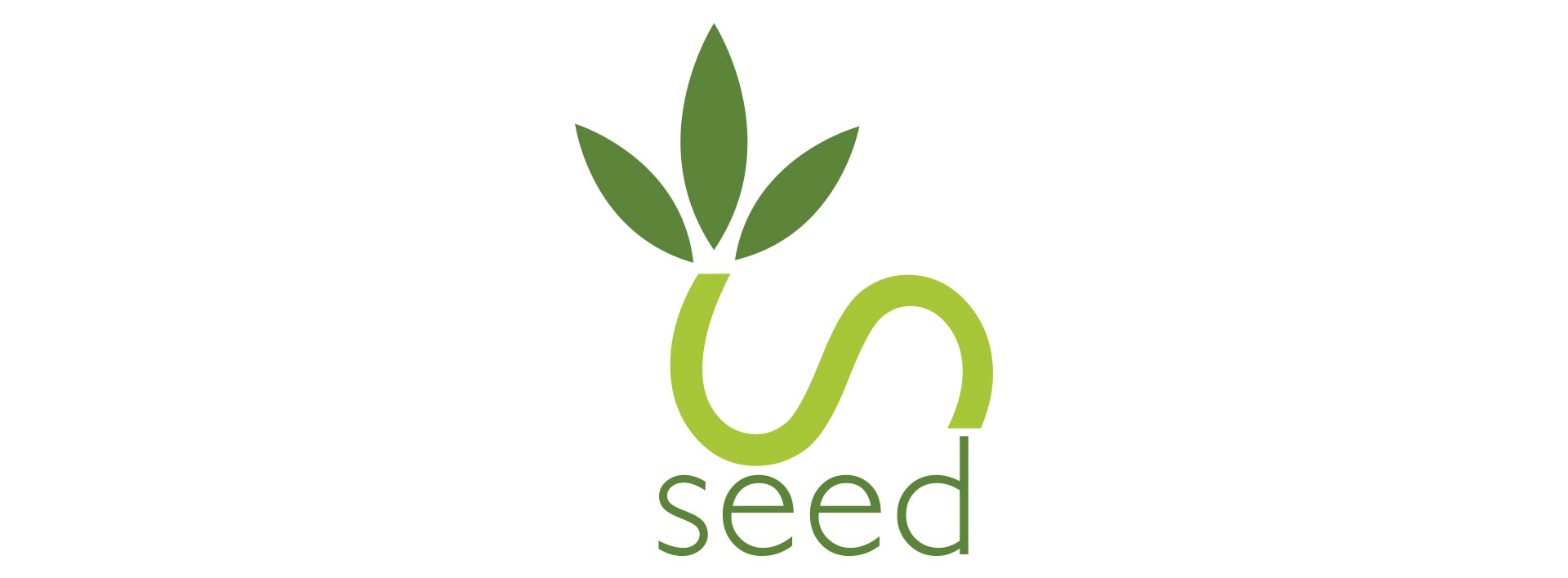 seed business card design