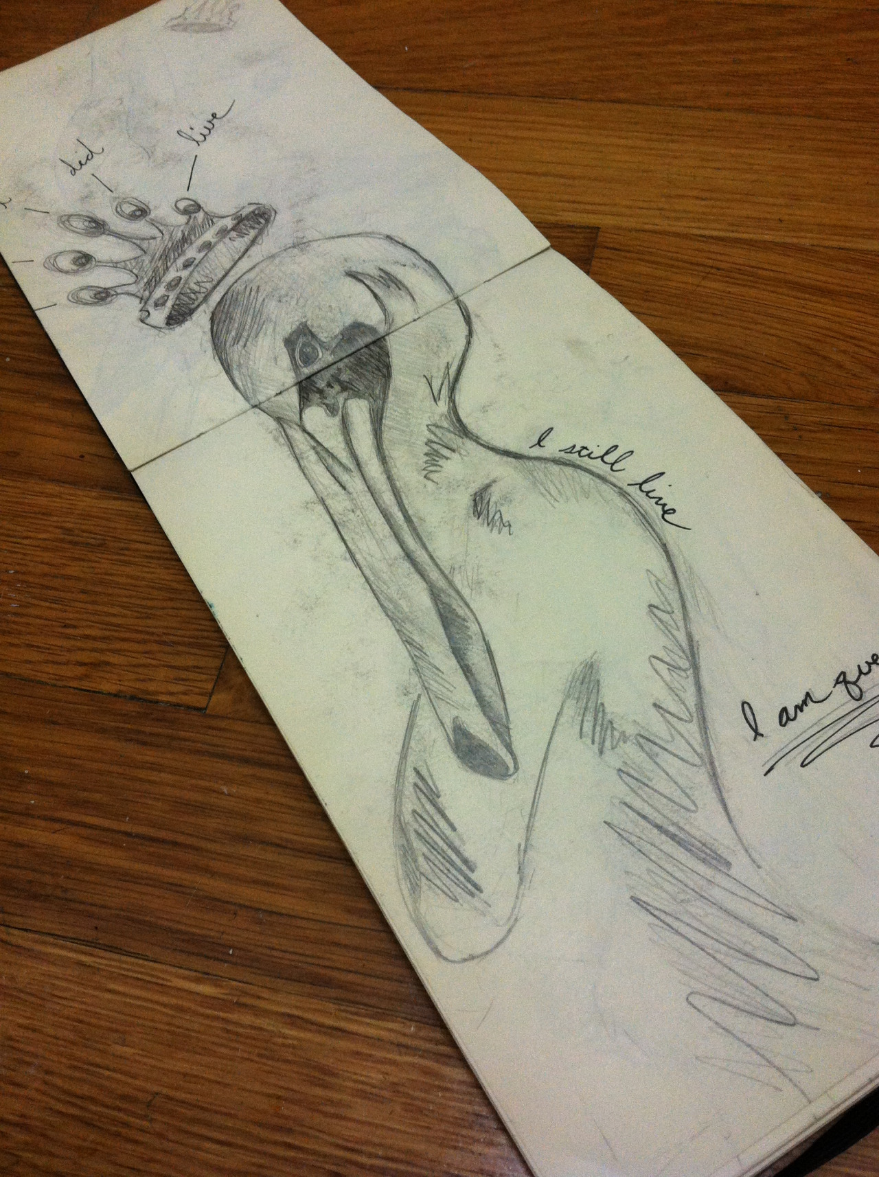 bsketchbook ink on graphite on paper swan woman