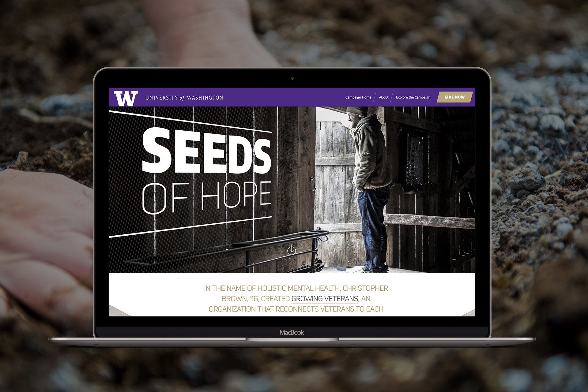 seeds of hope website design thumbnail